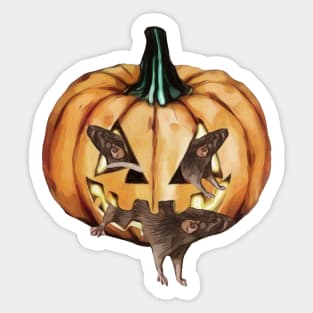 Halloween Pumpkin With Rats Sticker